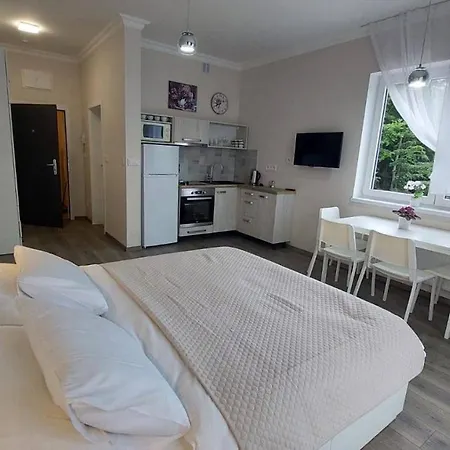 Apartment With Ap. Garden